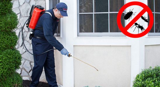 Tefenni Gümüşkurt İlaçlama böcek ilaçlama ve haşere kontrolü — ilaclama-tr.com